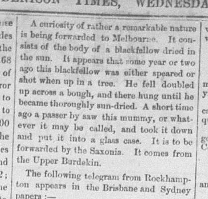 Port Denison Times, 20 June 1866, p2